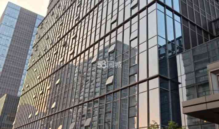江东区东郊 嘉恒广场(商住楼) 1室1厅1卫 57平米