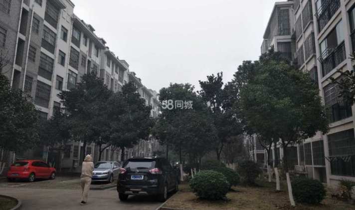 【翡翠花园4室2厅1卫 | 合肥租房信息】 - 合肥优优好