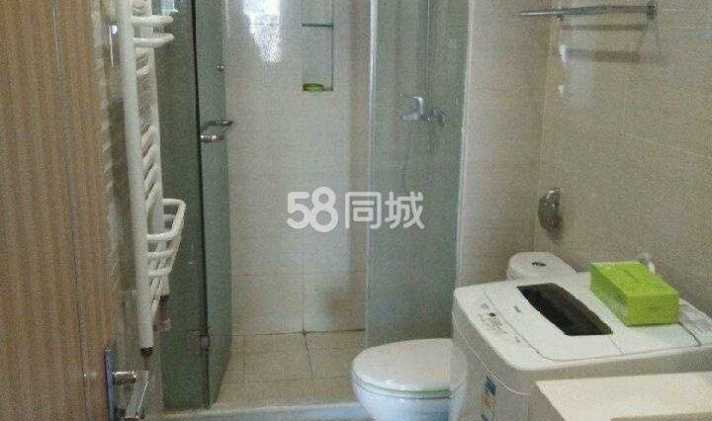 张店区儿童公园 华润万象汇max公寓 1室1厅1卫 58平米
