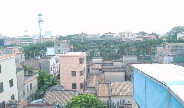 番禺区石碁 广州市番禺区石碁镇莲塘. 2室1厅1卫 60平米
