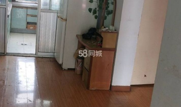 城西区海湖新区 彭家寨小区 2室1厅1卫 75平米