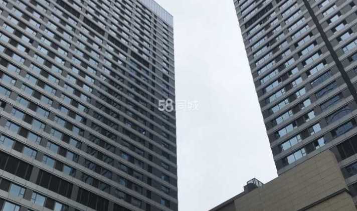 桥西区中华南大街 华润万象城公寓 1室1厅1卫 55平米