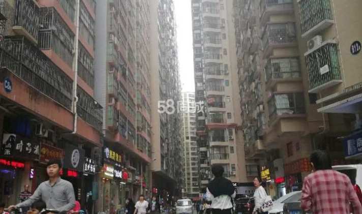布吉丹竹头 荔枝花园 2室1厅2卫 27平米