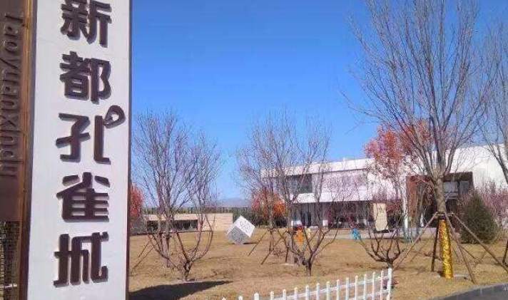 涿州市 涿州桃源新都孔雀城 3室2厅1卫 99平米