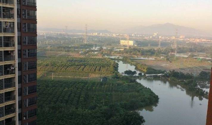 三水西南 御龙湾 4室2厅1卫 89平米