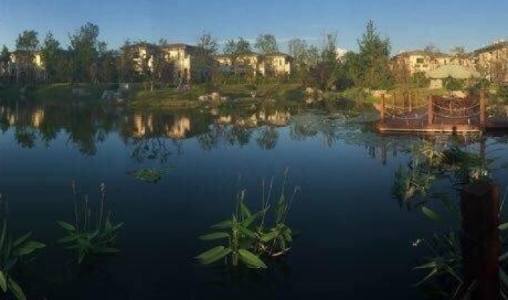 牟平其它 龙湖葡醍海湾 2室2厅1卫 97平米