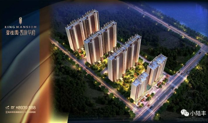 陆丰市东海 碧桂园凯旋华府 4室2厅2卫 171.6平米