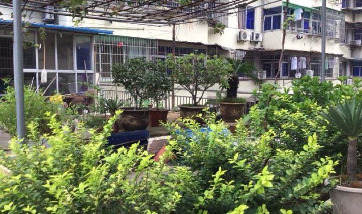 柯城区城中 清莲小区 2室2厅1卫 73平米