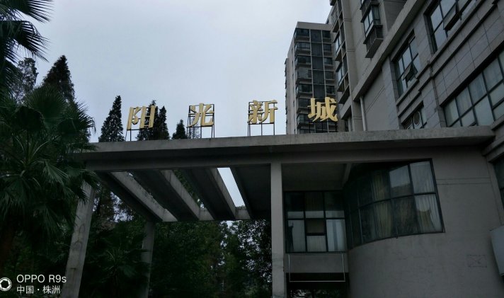 芦淞区建设中路 阳光新城 3室2厅2卫 115平米