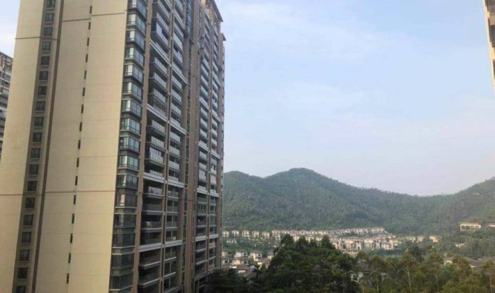 花都区花东 天湖峰境 3室2厅2卫 115平米