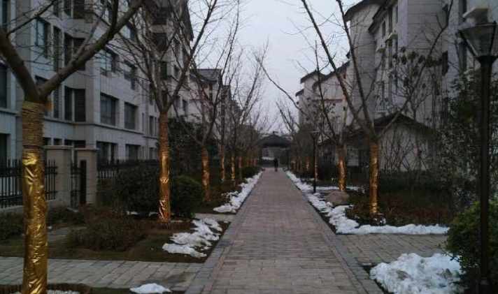 【城墙内御龙湾稀有4室洋房 开封二手房网 开封优优好房